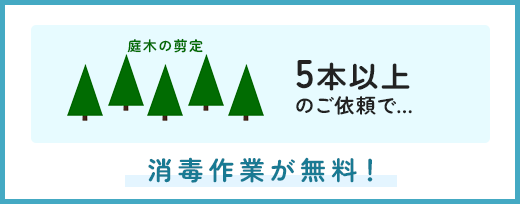 5本以上のご依頼で消毒作業が無料！